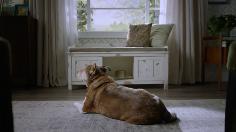 KRYLON "Dog Bench" | Oren Kaplan